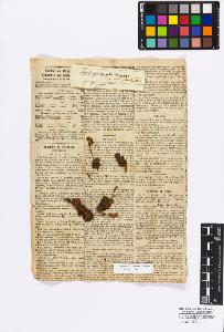 SW_BNB_s3010-17106_IMG-0000000001