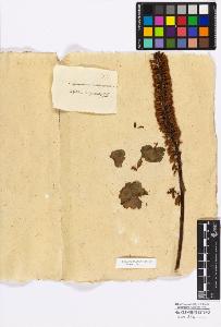 SW_BNB_s3010-17107_IMG-0000000001