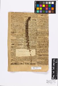 SW_BNB_s3010-17108_IMG-0000000001