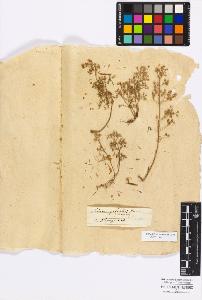 SW_BNB_s3010-17109_IMG-0000000001