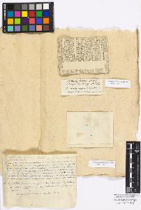 SW_BNB_s3010-17110_IMG-0000000001