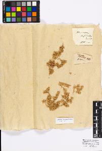 SW_BNB_s3010-17112_IMG-0000000001