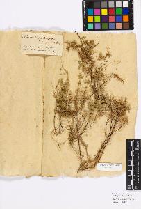 SW_BNB_s3010-17113_IMG-0000000001