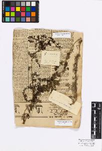 SW_BNB_s3010-17114_IMG-0000000001