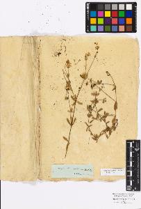 SW_BNB_s3010-17116_IMG-0000000001