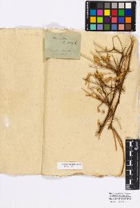 SW_BNB_s3010-17117_IMG-0000000001