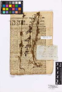 SW_BNB_s3010-17118_IMG-0000000001