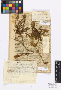 SW_BNB_s3010-17119_IMG-0000000001