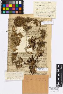 SW_BNB_s3010-17122_IMG-0000000001