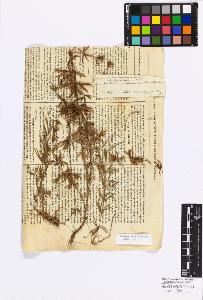 SW_BNB_s3010-17123_IMG-0000000001