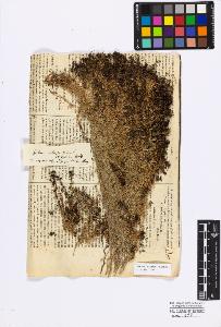 SW_BNB_s3010-17124_IMG-0000000001