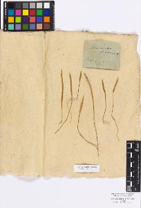 SW_BNB_s3010-17125_IMG-0000000001