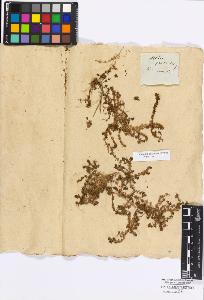 SW_BNB_s3010-17126_IMG-0000000001