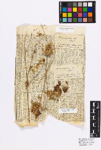 SW_BNB_s3010-17127_IMG-0000000001