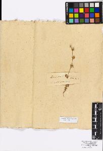 SW_BNB_s3010-17128_IMG-0000000001