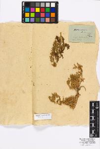 SW_BNB_s3010-17129_IMG-0000000001