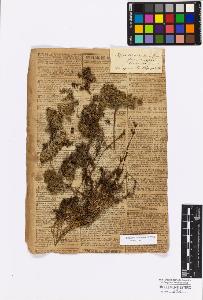 SW_BNB_s3010-17130_IMG-0000000001