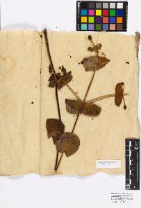 SW_BNB_s3010-17131_IMG-0000000001