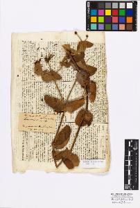 SW_BNB_s3010-17132_IMG-0000000001