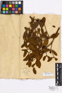 SW_BNB_s3010-17133_IMG-0000000001