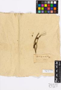 SW_BNB_s3010-17134_IMG-0000000001