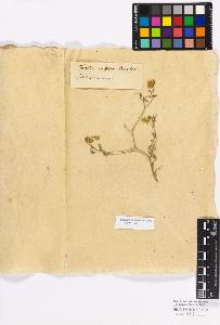 SW_BNB_s3010-17136_IMG-0000000001