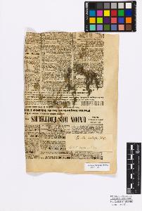 SW_BNB_s3010-17137_IMG-0000000001