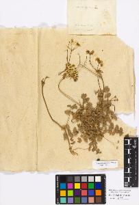 SW_BNB_s3010-17138_IMG-0000000001