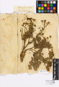 SW_BNB_s3010-17139_IMG-0000000001