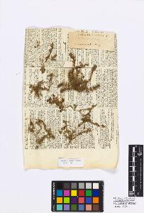 SW_BNB_s3010-17140_IMG-0000000001