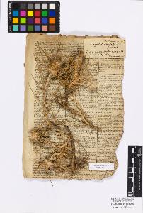 SW_BNB_s3010-17141_IMG-0000000001