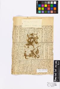 SW_BNB_s3010-17142_IMG-0000000001