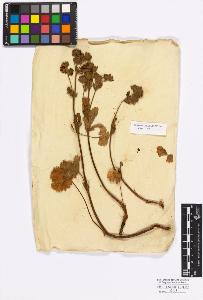 SW_BNB_s3010-17143_IMG-0000000001