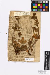 SW_BNB_s3010-17144_IMG-0000000001