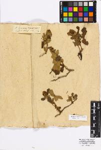 SW_BNB_s3010-17145_IMG-0000000001