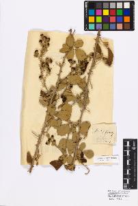 SW_BNB_s3010-17146_IMG-0000000001