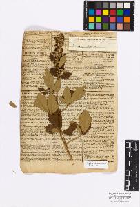 SW_BNB_s3010-17147_IMG-0000000001