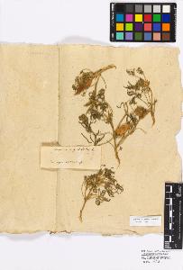 SW_BNB_s3010-17148_IMG-0000000001