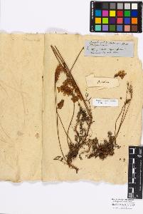 SW_BNB_s3010-17149_IMG-0000000001