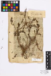 SW_BNB_s3010-17150_IMG-0000000001