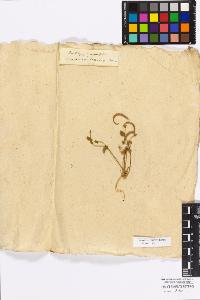 SW_BNB_s3010-17151_IMG-0000000001