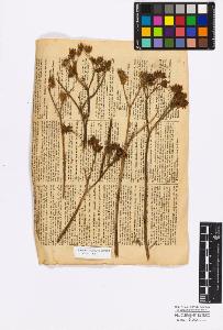 SW_BNB_s3010-17152_IMG-0000000001