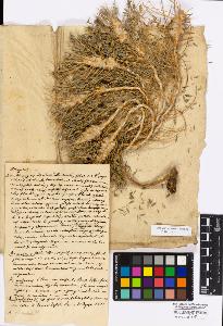 SW_BNB_s3010-17153_IMG-0000000001