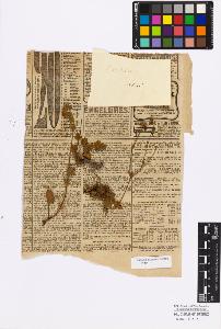 SW_BNB_s3010-17154_IMG-0000000001