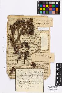 SW_BNB_s3010-17155_IMG-0000000001