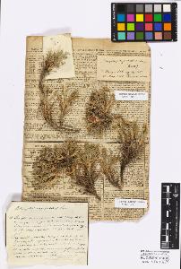 SW_BNB_s3010-17156_IMG-0000000001