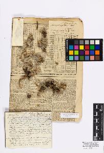 SW_BNB_s3010-17158_IMG-0000000001