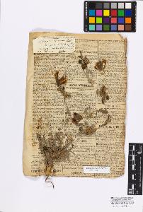 SW_BNB_s3010-17159_IMG-0000000001