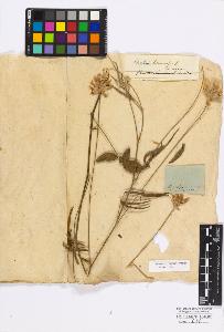 SW_BNB_s3010-17160_IMG-0000000001