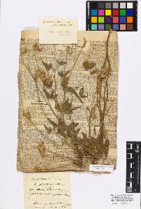 SW_BNB_s3010-17161_IMG-0000000001